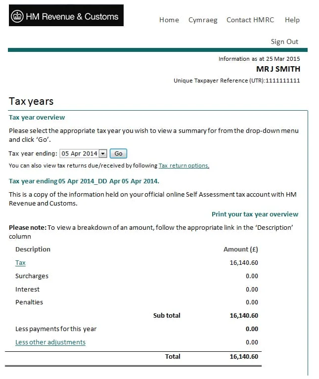 Tax Year Overview online